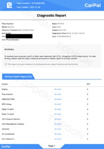 Example of a diagnostic report generated by CarPal